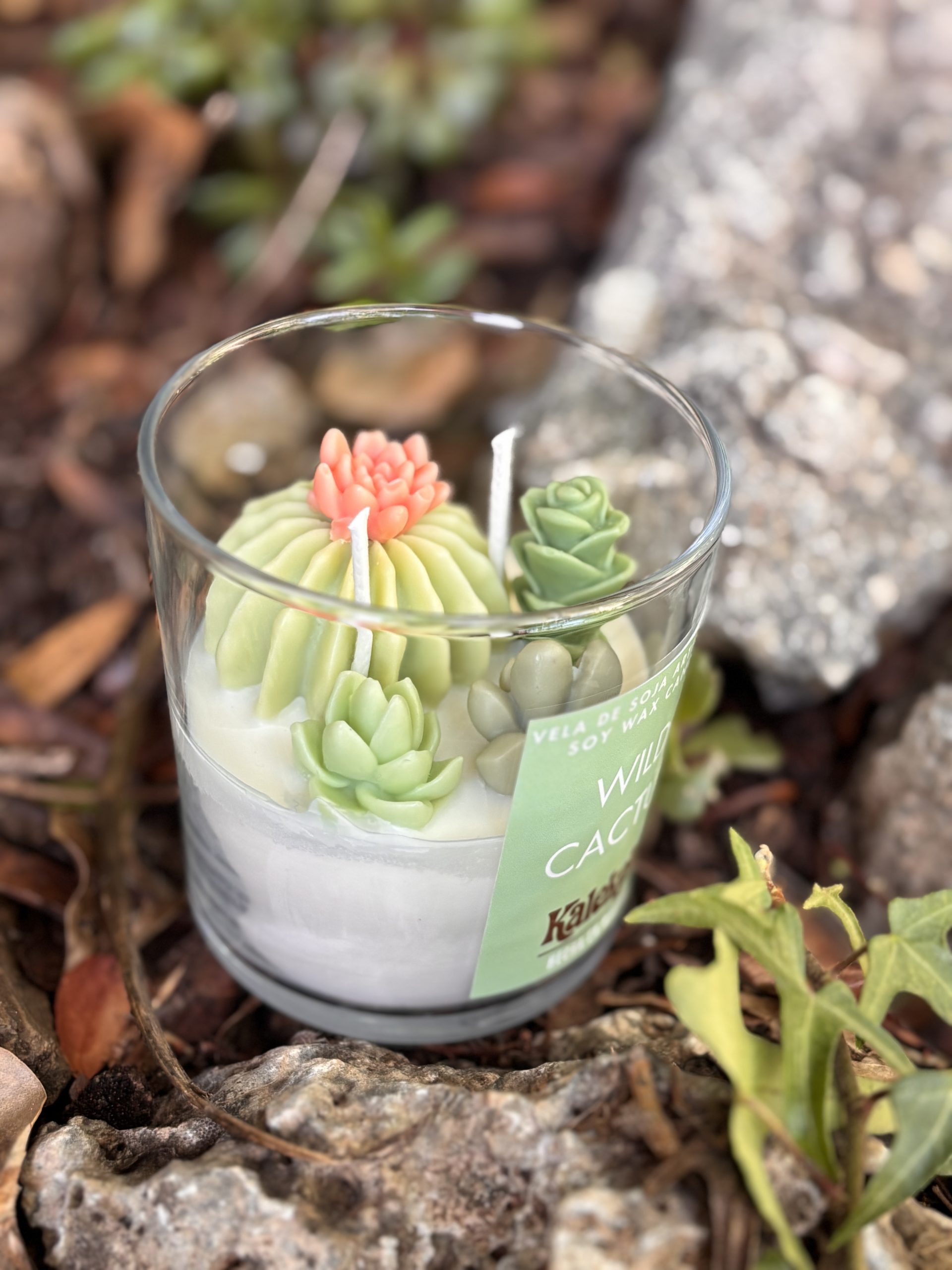 Vela Wild Cactus de soja artesanal 🌵200gr | Kalekoko Fantasy - Imagen 5