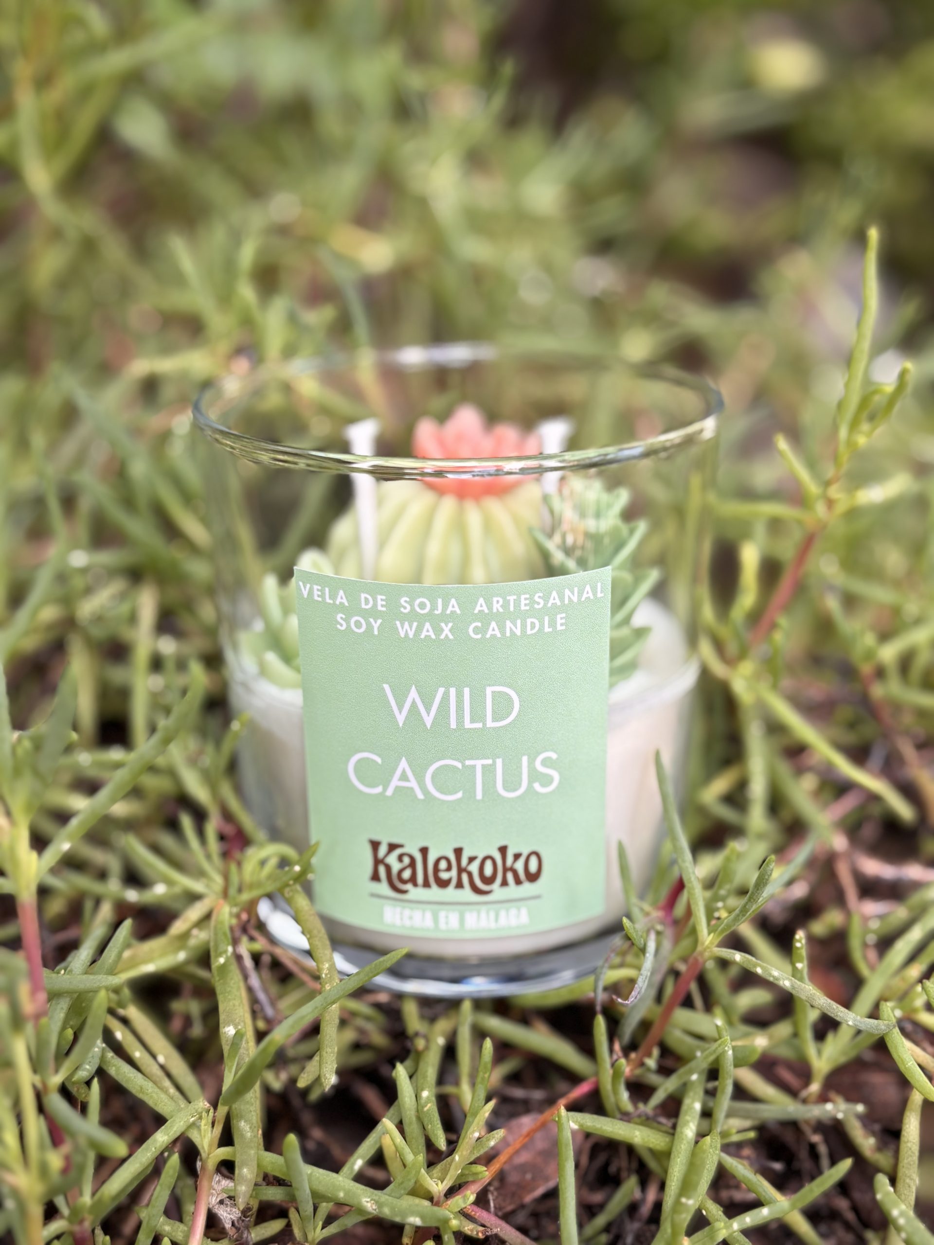Vela Wild Cactus de soja artesanal 🌵200gr | Kalekoko Fantasy - Imagen 3