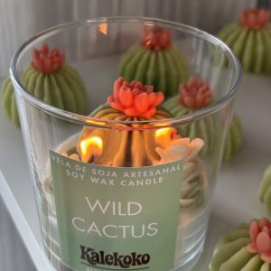 Vela Wild Cactus de soja artesanal 🌵200gr  | Kalekoko Fantasy