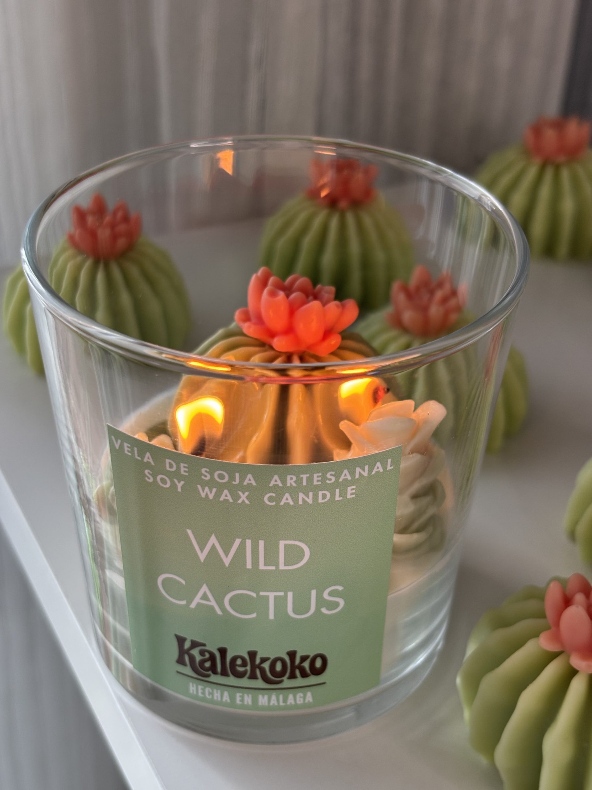 Vela Wild Cactus de soja artesanal 🌵200gr | Kalekoko Fantasy