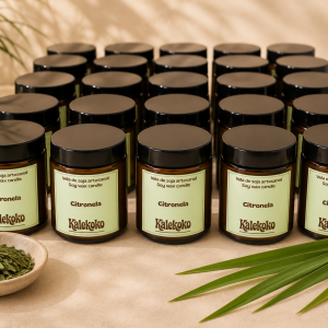 Vela de soja para negocios | Aroma CITRONELA | Kalekoko